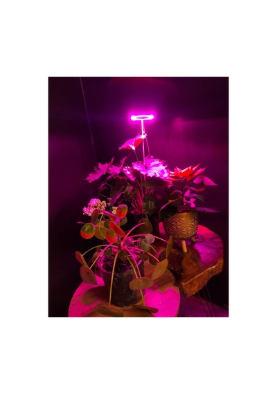 Bitki Led Lamba 5v Usb Tam Spektrumlu Bitki Yetiştirme Lambası 8w Pembe
