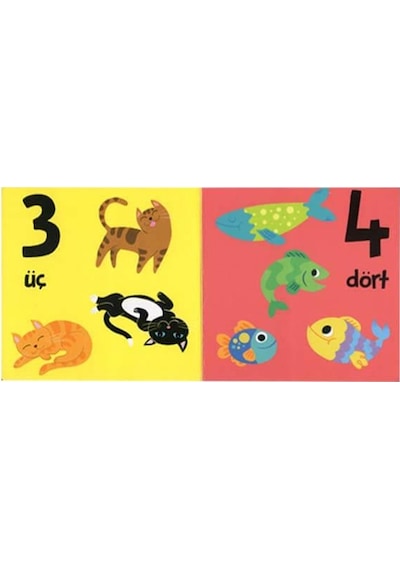 +1 Yaş Minik Kitaplar Serisi 4'Lü Kitap Seti Eolo Yayınları