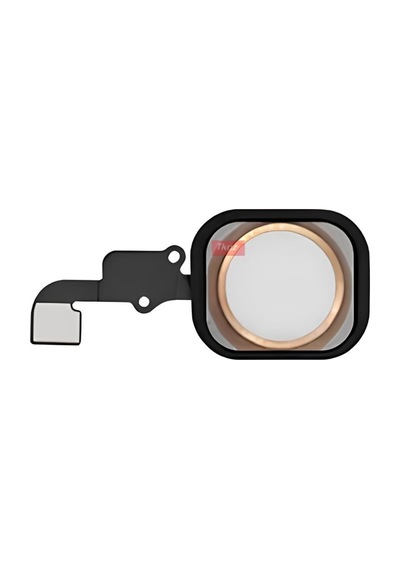 Apple Uyumlu iPhone 6 Home Tuşu Flex Gold Lastikli Çercevel İind12686