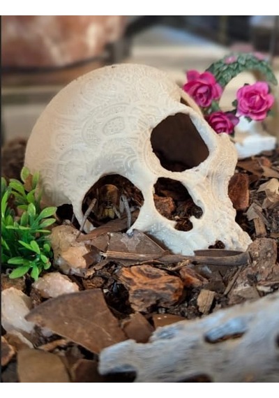 Akvaryum Süsü Kırık Kafatası Dekorasyon - Balık Saklanma Alanı Ve Akvaryum Dekoru Skull Decor Broken Skull For Aquarium Decoration