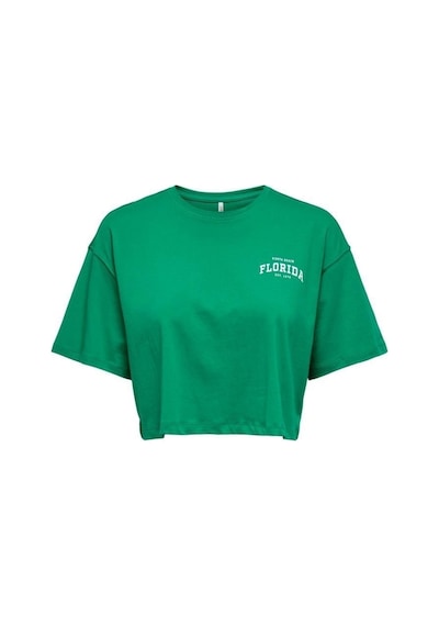 Only Kadın Renkli Crop T-shirt - 15260935 001