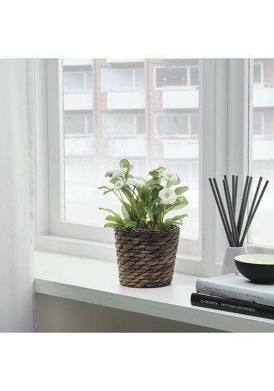 Druvflader Rattan Saksı, Su Sümbülü 17833246