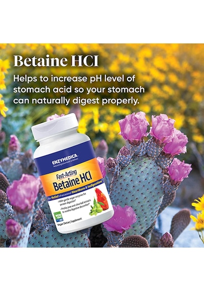 Betaine Hcl Acid-active Protease Blend Mucosave Fgnatural Digestive Health & Wellnessfor Relief Of Occasional Heartburn & Indigestion Mineral