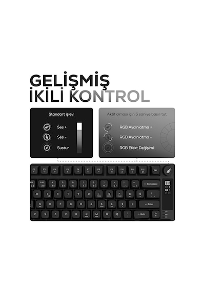 Hk255 Membrane Lcd Rgb Kablosuz/bluetooth Siyah %75 Türkçe Gaming Oyuncu Klavye