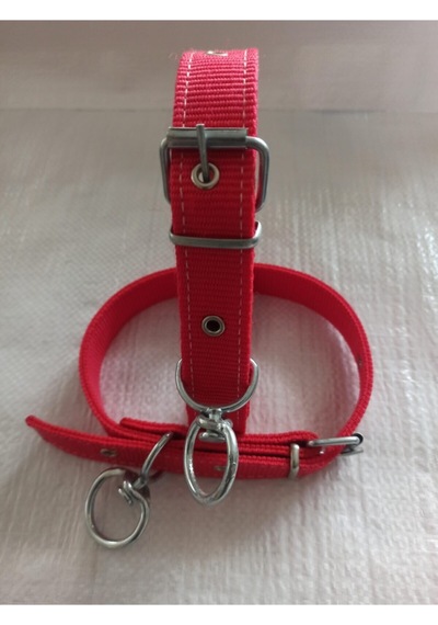 Büyük ve Orta Irk Köpek Tasması