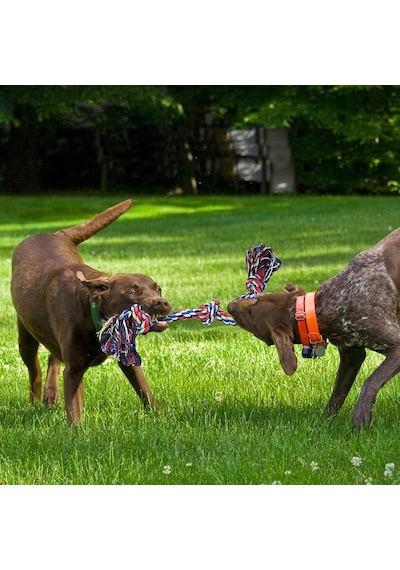 Valkyrie 2 Li Büyük Boy Köpek Halat Oyuncağı Seti Isırma Çekiştirme Diş Kaşıma Eğitim İpi