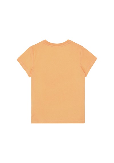 U.S. Polo Assn. Erkek Çocuk Kavun Basic Bisiklet Yaka Tişört 50306512-VR202 U.S. Polo Assn. Erkek Çocuk Kavun Basic Bisiklet Yaka Tişört 50306512-VR202