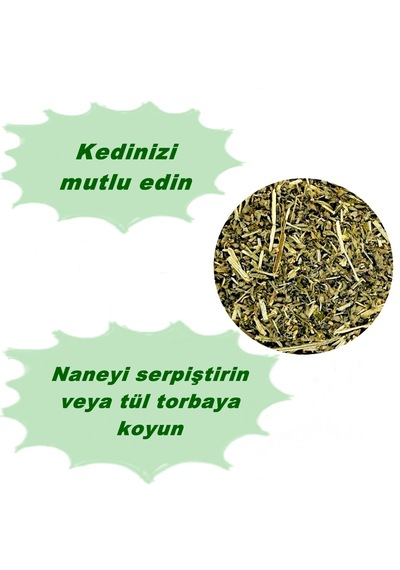Nunbell Kurutulmuş Doğal Catnip Kedi Nanesi 150 ML