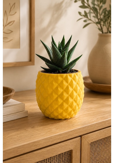 Geometrik Desenli Sukulent Saksısı Mini Kaktüs Saksı Masa Üstü Dekoratif Pla Saksı 7.7x6.5 Cm