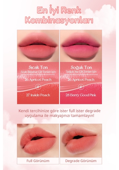 Peripera Ink Airy Velvet 29what Are You Fig 29 What Are You Fig