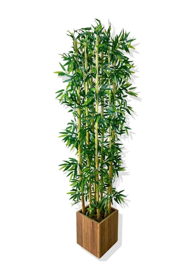 Cihan Çiçekçilik Bambu Yapay Ağaç 200 Cm 9 Adet Ahşap Saksıda Beyaz- Yeşil