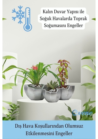 Saksı Çiçek Kaktüs Saksısı Lüx 15 Cm Önü Açık Desenli 3'lü Set Çiçeklik - Gümüş Eskitme