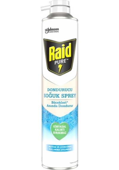 Raid Pure Böcek Dondurucu Spr 350 ML