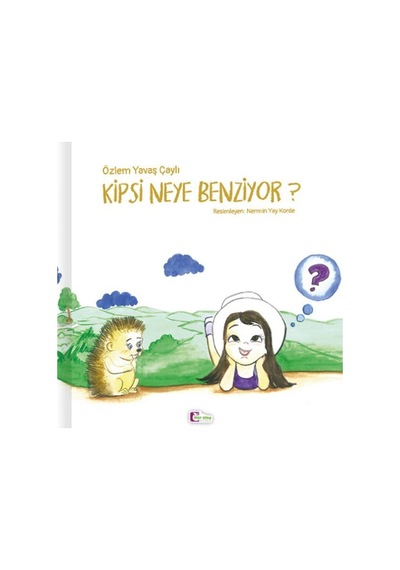 Kipsi Neye Benziyor?