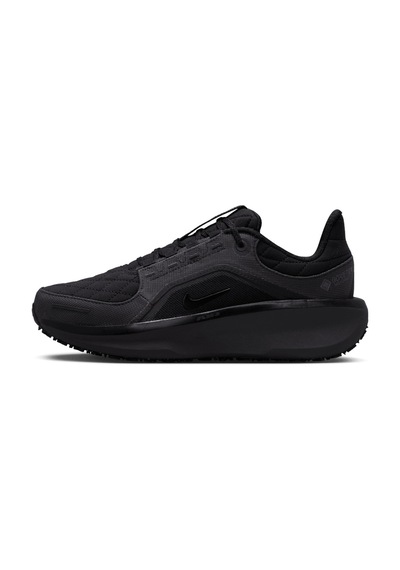 Nike W Aır Wınflo 11 Gtx Siyah