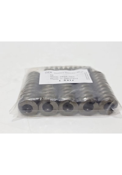 Gea 0006-3859-060 Seperatör Boyun Yatak Yayı 6 Adet