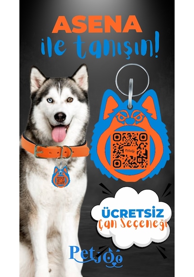 Petjoo 25.Asena Mavi-Turuncu Qr'lı Köpek Künyesi