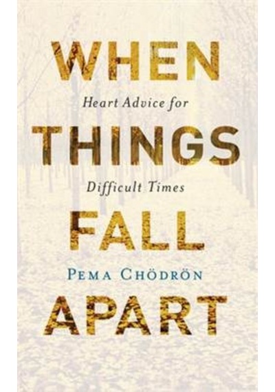 When Things Fall Apart 9781611803433