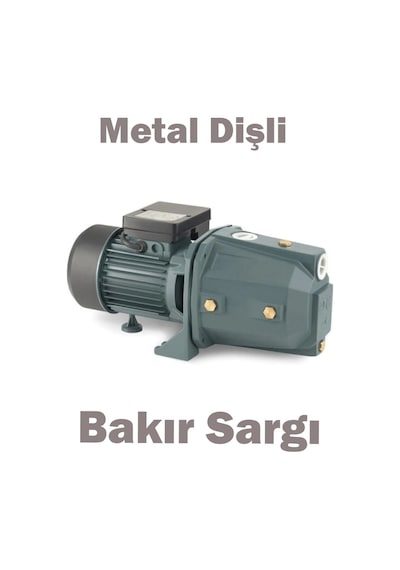 Jet100 Pro Bakır Sargı 1.5 Hp Su Pompası Motoru 8 Mt Emiş 48 Mt B