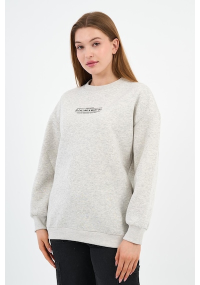 Alexander Gardi İçi Polarlı Baskı Detaylı Sweatshırt B23-37401 Gri