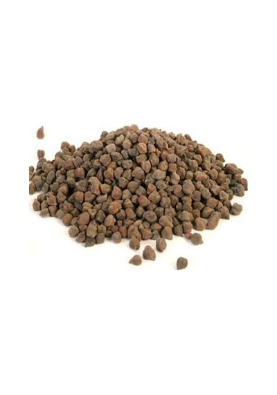 Kara Nohut Tohumu 100 GR