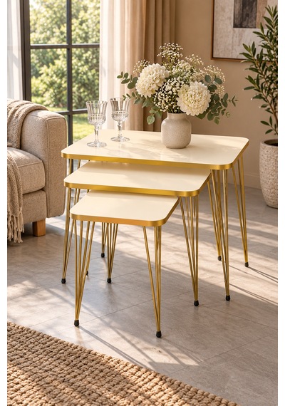 Odera Tel Zigon Sehpa 3'lü Set Metal Ayaklı Modern Retro Salon Sehpası Diğer