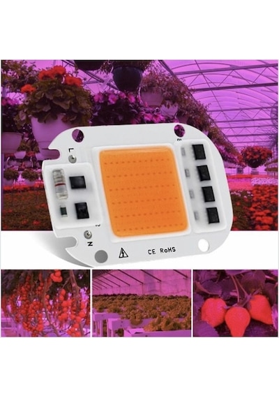 220V 50W Grow Led Full Spectrum Cob Led (Bitki Yetiştirme Ledi)