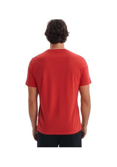 Arma Ar-ma Erkek Bisiklet Yaka Tişört Baskisiz Basic Örme Kumaş Regular Fit %100 Pamuk 30/1 Penye Süprem Y31344408202 Bordo-b1
