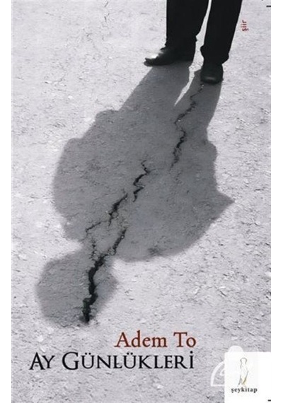 Ay Günlükleri - Adem To - ŞYK Kitap