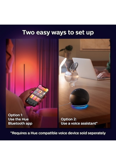 Philips Hue Gradient Signe Zemin Işığı - Siyah