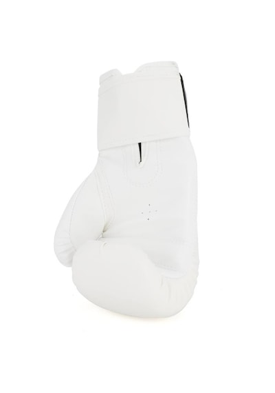 Titan Sport Model-2 Beyaz Bitbull Desenli Boks Eldiveni Çok Renkli