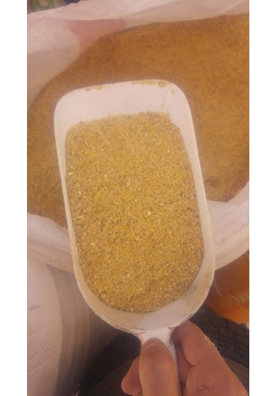 Misir Buğday Karişimi Özel Yem Tavuk - Hindi - Ördek - Güvercin 3  Kilo