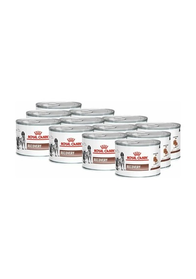 Royal Canın Royal Canin Recovery 12 Adet 166453320