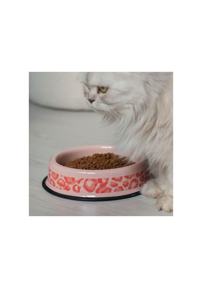 Emaye Kedi Köpek Mama Ve Su Kabı Renkli Pati - Pembe