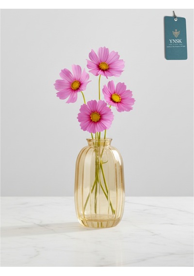 Chacha Home Modern 3'lü Minimalist Cam Çiçek Vazosu Dekoratif Masa Üstü Vazo Seti Bal