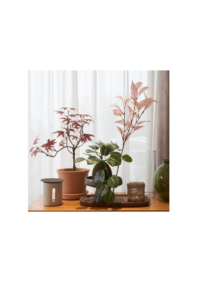 Ikea Smycka Yapay Çiçek, Pembe, 60 Cm, Okaliptüs