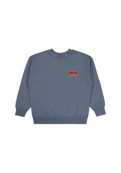Civil Boys Prıvate Baskılı 10-13 Yaş Sweatshirt Açık Antrasit