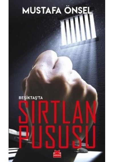 Beşiktaş'ta Sırtlan Pususu - Mustafa Önsel - Kırmızı Kedi