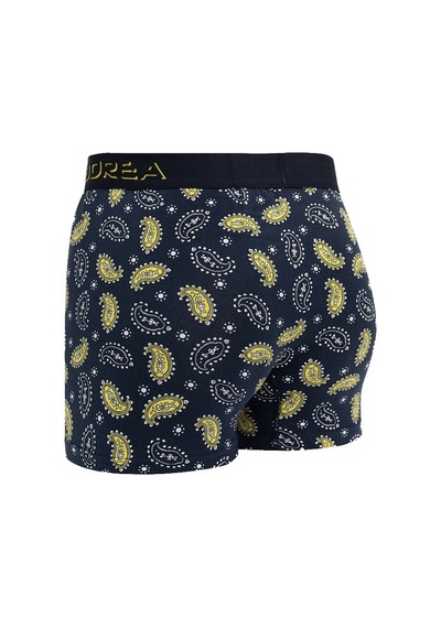 Dorea 2 Adet Erkek Desenli Boxer (445756614) Lacivert