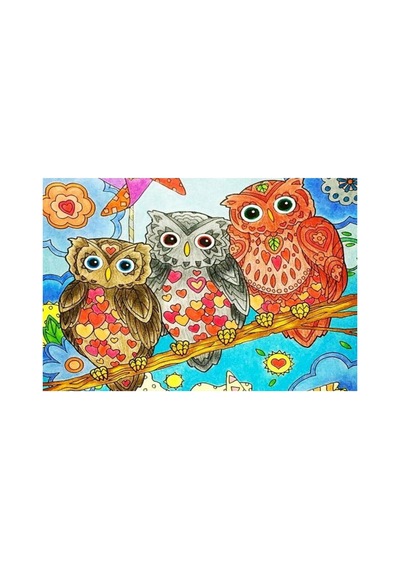 Dijital Baskılı Desenli Kapı Önü Halı Paspas 40 X 60 Cm Çok Renkli1 - 931806845 Çok Renkli1