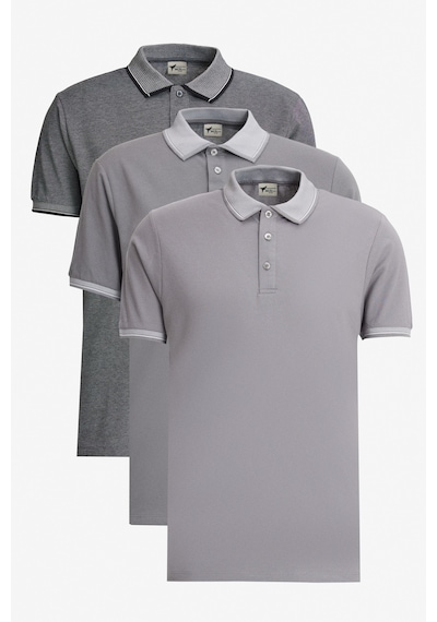 AC&Co / Altınyıldız Classics Erkek Acık Sıyah-Acık Grı-Koyu Grı Çekmeyen Pamuklu Kumaş Slim Fit Dar Kesim 3 'Lü Kıvrılmaz Polo Yaka Tişört Çok Renkli AC&Co / Altınyıldız Classics Erkek Acık Sıyah-Acık Grı-Koyu Grı Çekmeyen Pamuklu Kumaş Slim Fit Dar Kesim 3 'Lü Kıvrılmaz Polo Yaka Tişört Çok Renkli