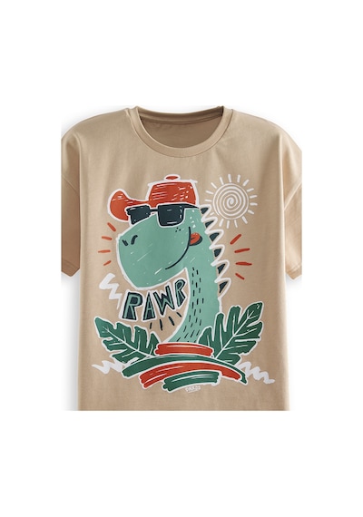 Summer Dino Erkek Çocuk T-shirt Şort Takım