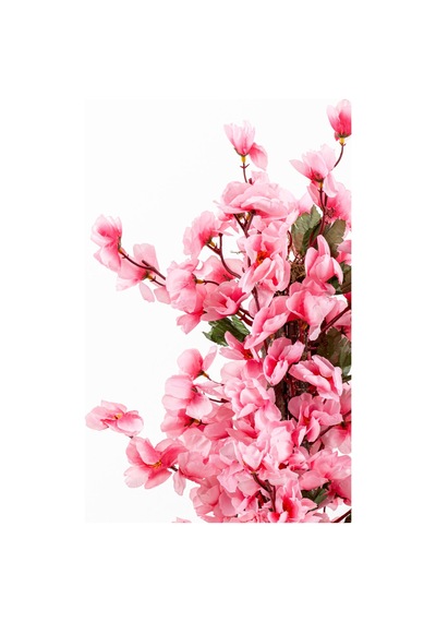 Yapay Çiçekçiniz Taş Detaylı Siyah Saksıda 60 Cm Yoğun Yapraklı Yapay Benjamin Ağacı pembe