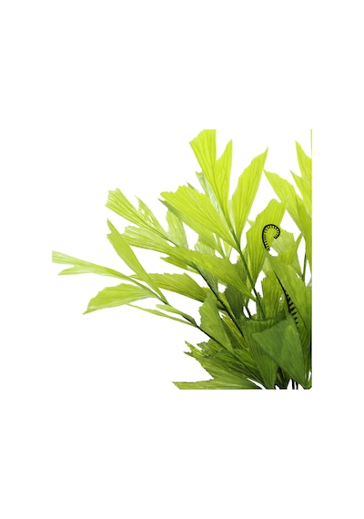 Yapay Paçira Demeti 55 Cm-10499