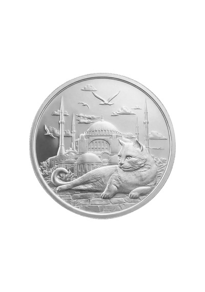 İstanbul Kedisi Gümüş Koleksiyon Ürünü