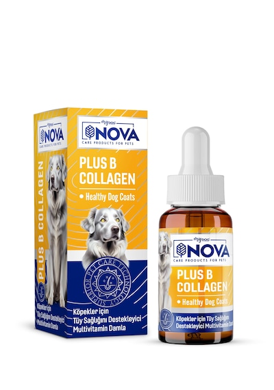 Nova Premium Plus B Collagen 50ml Sıvı Köpek Vitamini