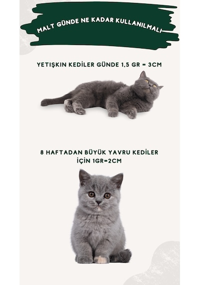 Roevita Kedi ve Köpekler İçin Multi Vitamin Paste 100 G