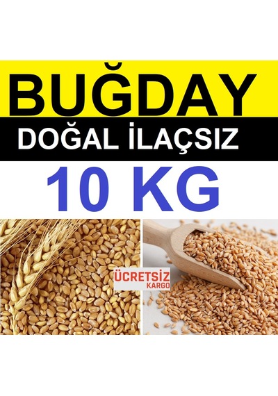 Buğday 10 Kg Yemlik Buğday Tavuk Yemi Güvercin Yemi Kanatlı  Yemi