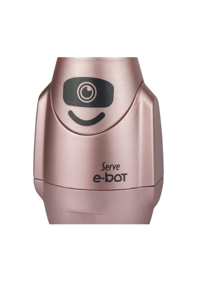 Ayrex E-bot Sılgılı Kalemtıras Metalık Roze 4lu Set