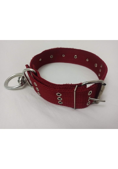 Kozaklı Süslü Köpek Tasması Kırmızı 75 x 5 CM Kırmızı